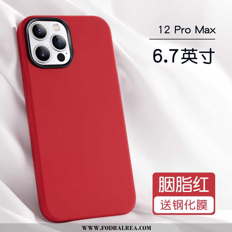 Fodral iPhone 12 Pro Max Personlighet Silikon Purpur, Skal iPhone 12 Pro Max Trend Skydd Lila