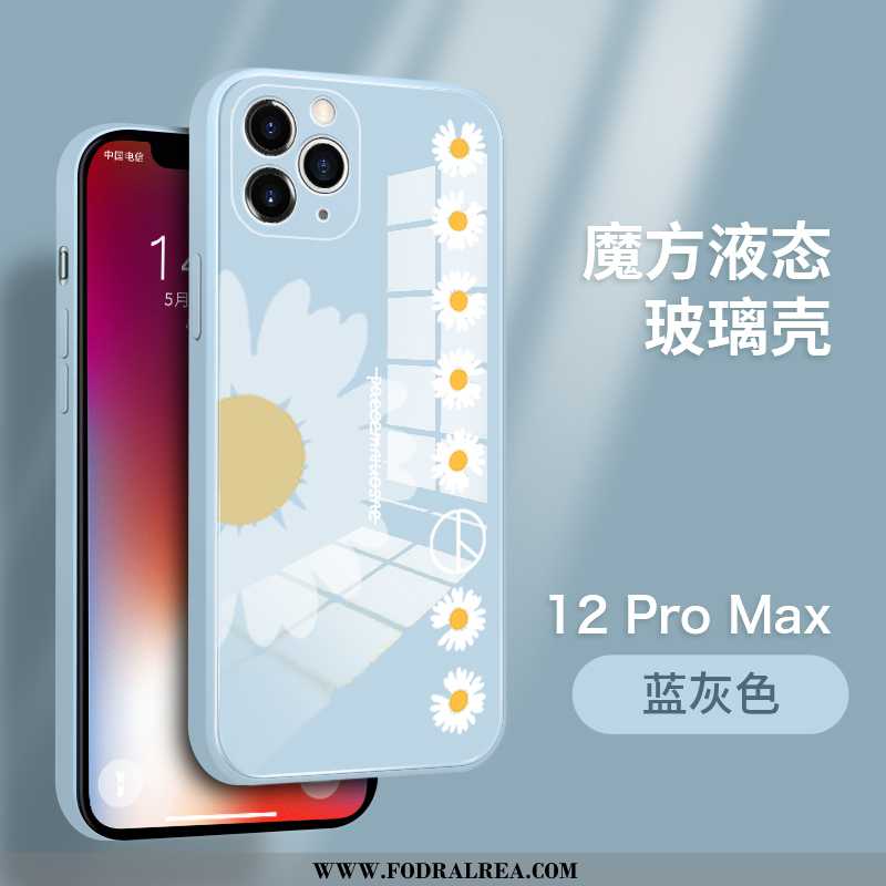 Fodral iPhone 12 Pro Max Personlighet Tusensköna Super, Skal iPhone 12 Pro Max Trend Par Blå