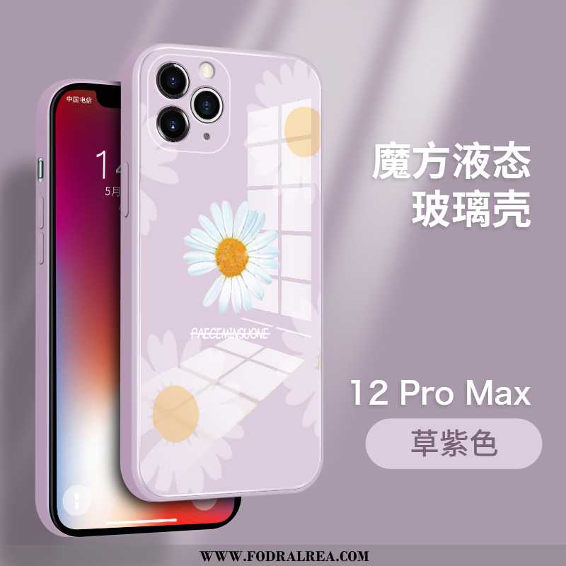 Fodral iPhone 12 Pro Max Personlighet Tusensköna Super, Skal iPhone 12 Pro Max Trend Par Blå