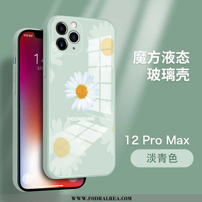 Fodral iPhone 12 Pro Max Personlighet Tusensköna Super, Skal iPhone 12 Pro Max Trend Par Blå