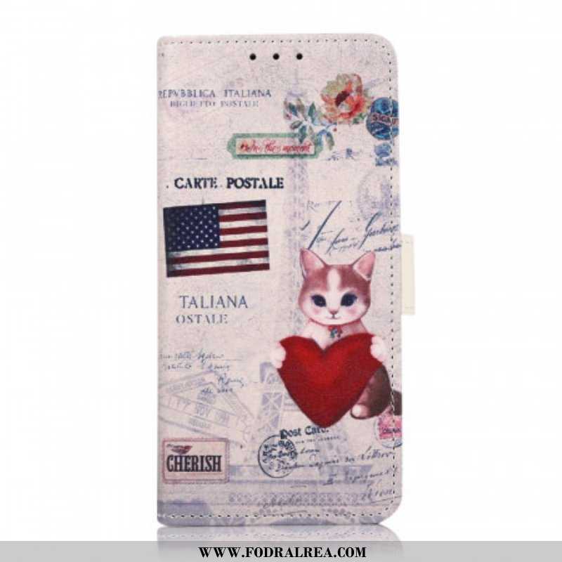 Fodral OnePlus Nord CE 2 5G Amerikansk Katt