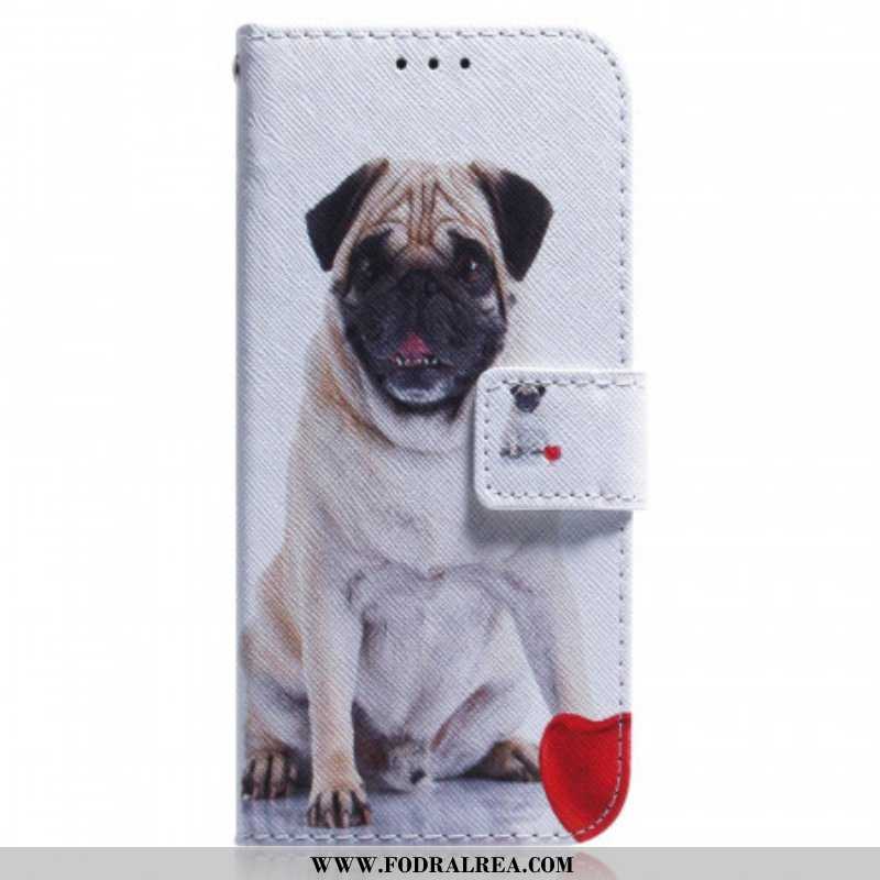 Fodral Samsung Galaxy M33 5G Mops Hund