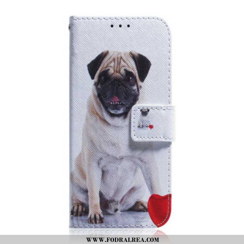 Folio-fodral Samsung Galaxy S21 5G Mops Hund