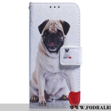 Fodral För Xiaomi 14 Mops Hund