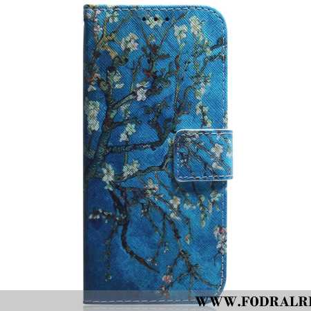 Fodral Oppo Reno 11 5g Aprikosblommor