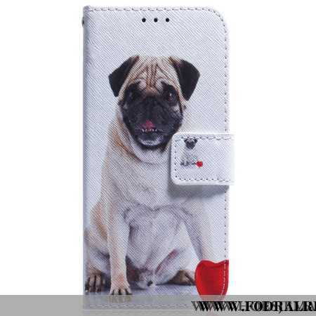 Samsung Galaxy A55 5g Mopshund