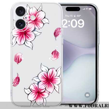 Skal iPhone 16 Telefonfodral Transparent Edge Cherry Blossom